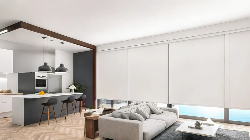 Sunscreen Blackout Roller Blinds