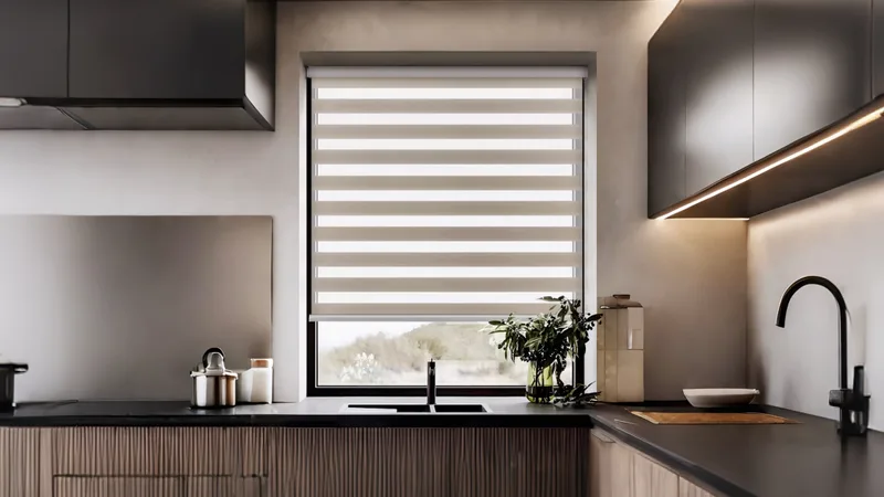 Zebra Blinds